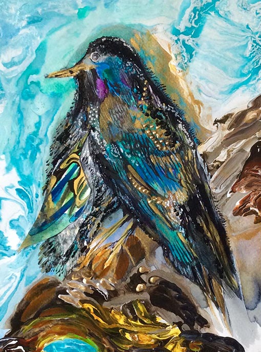 Original acrylic painting of a starling by Diana Zoe Coop